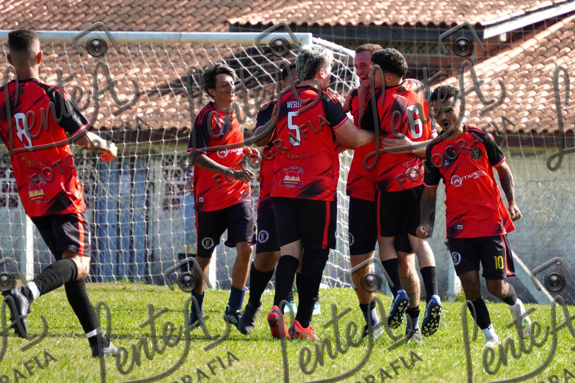 Família Samambaial - Campeonato