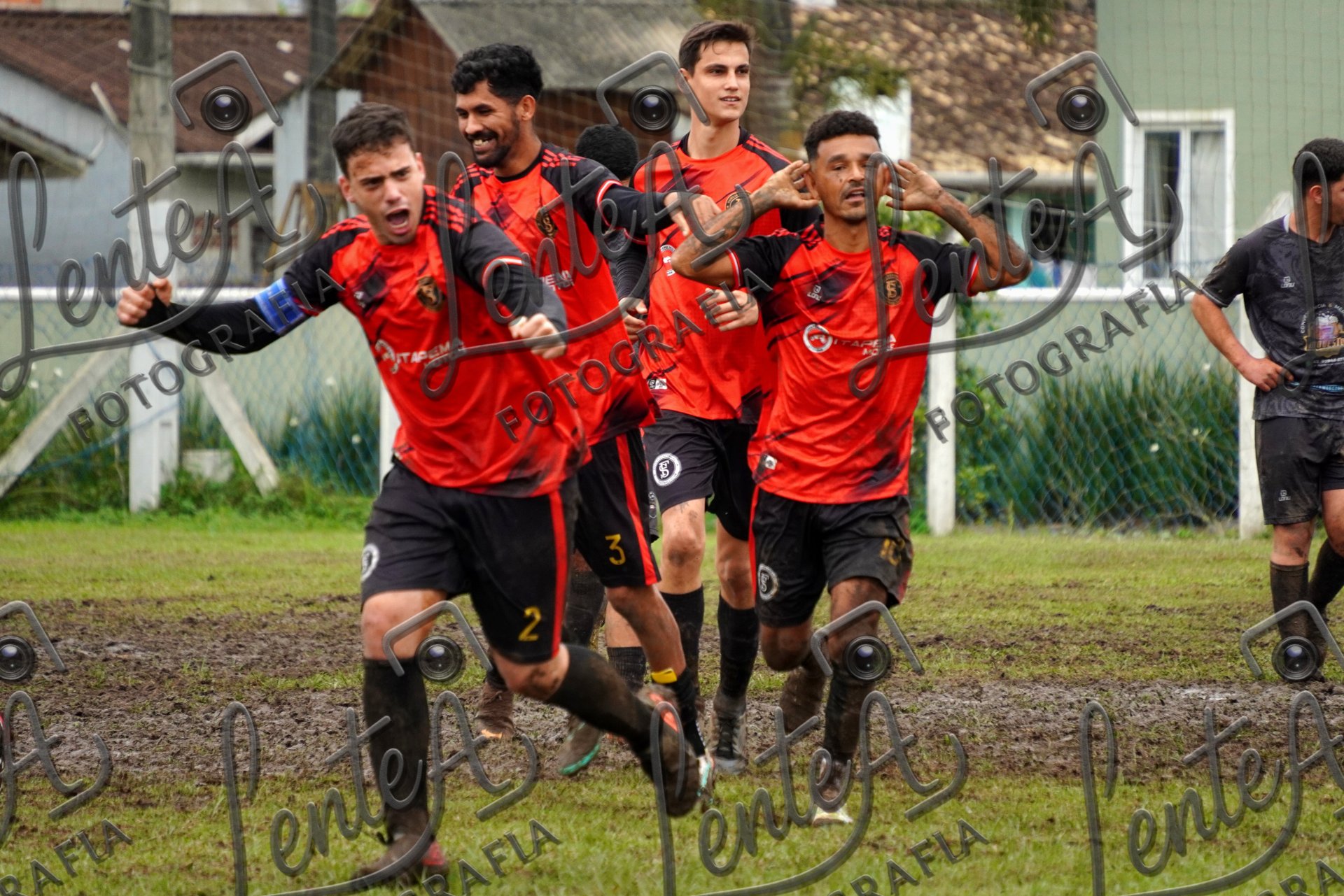 Família Samambaial - Campeonato
